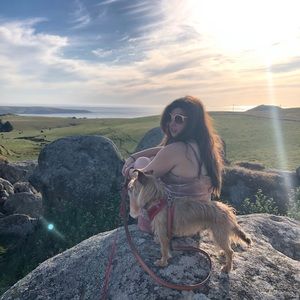 Meet your Posher, Stav